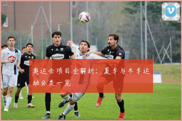 奥运会项目全解析:夏季与冬季运动分类一览