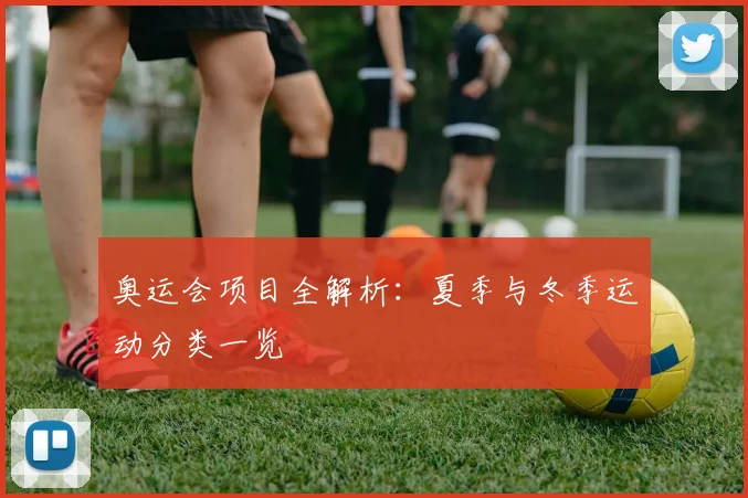 奥运会项目全解析:夏季与冬季运动分类一览