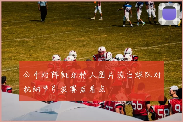 公牛对阵凯尔特人图片流出球队对抗细节引发赛后看点