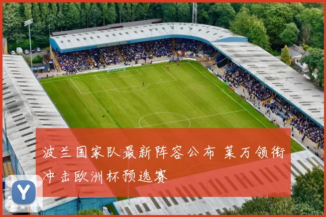 波兰国家队最新阵容公布 莱万领衔冲击欧洲杯预选赛